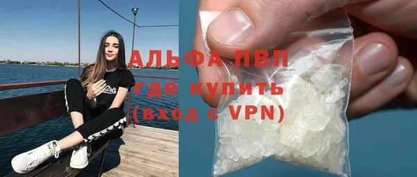 прущие грибы Бронницы