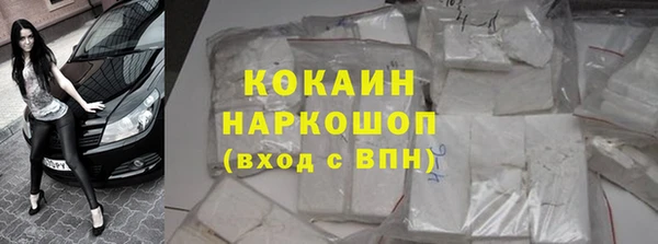 прущие грибы Бородино