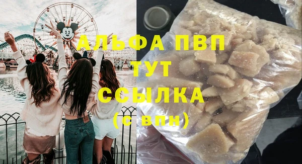 прущие грибы Бородино