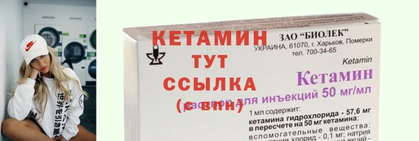 прущие грибы Бородино