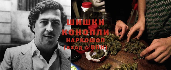 прущие грибы Бронницы