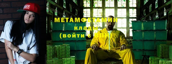 прущие грибы Бронницы