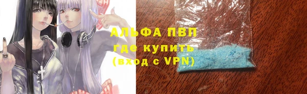 прущие грибы Бронницы