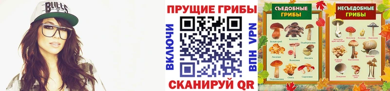 Галлюциногенные грибы Psilocybe  Ясногорск 